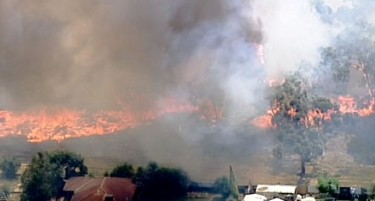 ЗАГУБИ ТЕШКИ 5 МИЛИЈАРДИ ДОЛАРИ: Погубни пожарите во Австралија