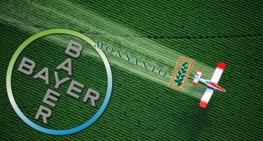 Ќе ја покори ли ГМО цела Европа?