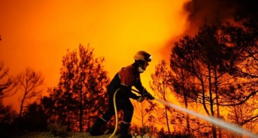 Голем пожар покрај Преспанското езеро