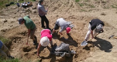 Скелет на изумрен слон пронајден во неготинско