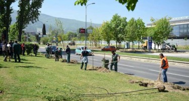 Скопје продолжува со разеленувањето