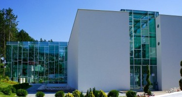 Над 600.000 луѓе ја посетиле Спомен куќата на мега ѕвездата Тоше Проески