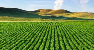 Усмртен на самото место од сопственото возило