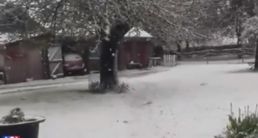 (ВИДЕО) Снег во април во една европска држава