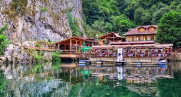 Бесплатни автобуси за Матка