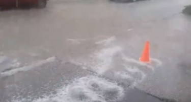 Градот ги „обра“ јаболката во Преспа и Ресен - има огромни штети