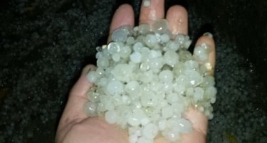 „Лешници“ врнеа во Радовиш