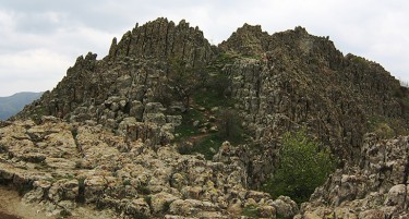 Бејли: Кокино е „невидливо“ за посетители