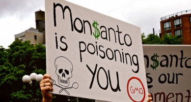 Bayer по спојувањето тешко 63 милијарди долари-го гаси името Monsanto