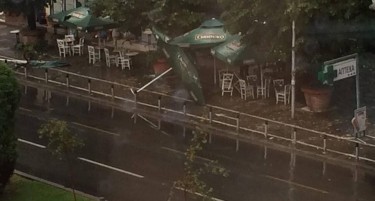 (ВИДЕО-ФОТО) Скопје погодено од невреме, откорнати дрвја на улиците