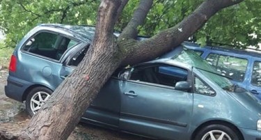 (ФОТО) ЕКИПИ НА ТЕРЕН: Се расчистуваат улиците по невремето во Скопје