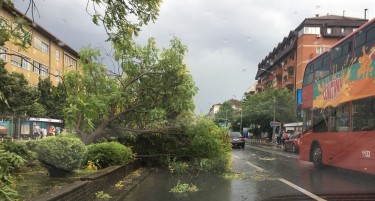 Циклонот Луцијан го направи Скопје како Венеција - оштетени над 10 возила