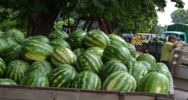 Град Скопје и Државен инспекторат насекаде бркаа диви продавачи на лубеници