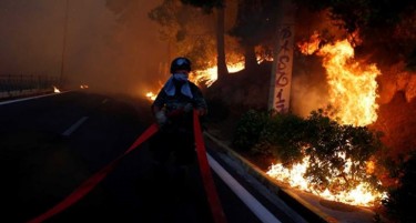 Тужби за грчките власти за жртвите во пожарите