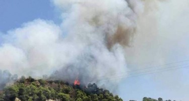 ГОРИ ПОВТОРНО ВО ГРЦИЈА: Цело село е евакуирано