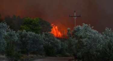 ГОРИ ВО ГРЦИЈА: Пожарникари се борат со огнот