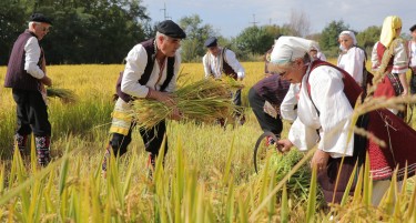 Николовски: Се подготвуваат мерки за поддршка на производителите на ориз