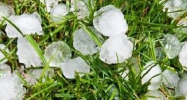 Град во Преспа - уништени ли се јаболката?