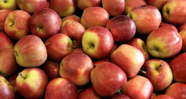Производителите на јаболки го блокираа патот Битола-Ресен