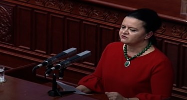 Ременски: Уставот е како една кошула која треба да се адаптира на телото