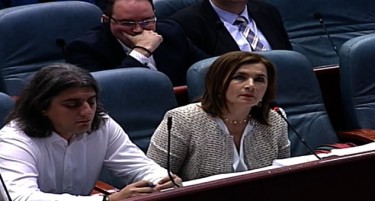 Шахапска до Канческа Милевска: Ајде еднаш сите да застанеме на иста страна