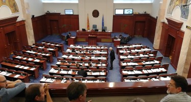 ВМРО ДПМНЕ ГИ ИЗБРКА, СЕГА ЌЕ БИДАТ НЕЗАВИСНИ ПРАТЕНИЦИ: Канческа Милевска на чело на избрканите од опозицијата