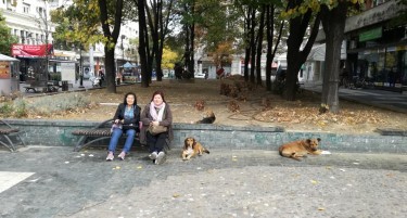 (ФОТО) Глутницата од Плоштад Македонија атракција за азиските туристи во Скопје