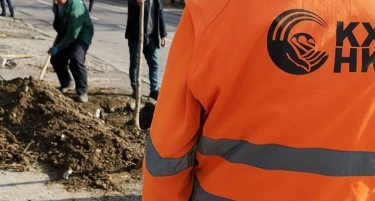 (ФОТО) Шилегов садеше дрвца додека трпеше критики