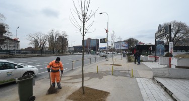 „ДРВОРЕД ЗА ФАЛЕЊЕ“: Се бетонира па се садат дрвја