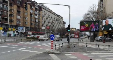 (ФОТО) Крава бегаше по најпрометниот скопски булевар