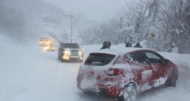 (ВИДЕО) Снежна бура однесе три животи