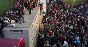 ТЕМПИРАНА БОМБА: Познато колку од мигрантите кои се во Германија извршиле воени злосторства
