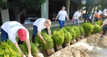 МЕПСО донира и засади жива ограда на новиот парк „Ибни Пајко“