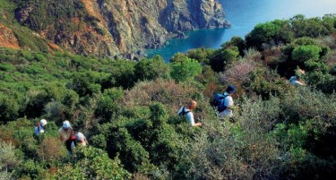 Рекорден број на „изгубени“ туристи на Крит ова лето