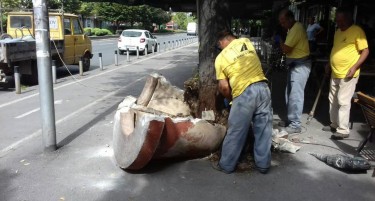 Отстранети бетонските „саксии“ на Партизански одреди, дрвјата кои некој ги зароби сега се слободни