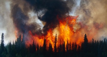 Зошто често избиваат пожари во Сибир?