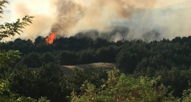 Избувнаа пожари во Македонија, гореше и гаражата на струмичкиот суд