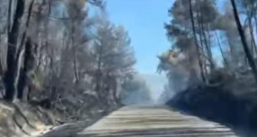 (ВИДЕО) ХОРОР СЛИКИ: Пожарите направија пустош во Грција