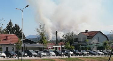 (ФОТО) Пожар над населбата Пинтија, гори мешана шума