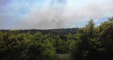 Голем пожар кај ветерниците во Богданци