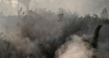 Eвропска земја ќе преземе мерки против Бразил ако не ги  спасат шумите