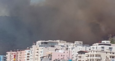 ГОРИ ВО СОСЕДСТВОТО: Пожари во Грција и Албанија