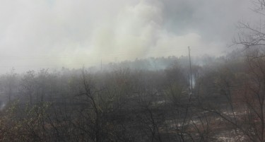 ЕВН ги санира далекуводите кои беа зафатени во велешкиот пожар