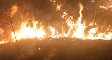Изгаснат пожарот на патот Велес - Скопје кај Катланово