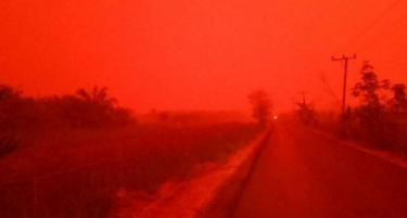 (ВИДЕО) СЕ ШИРАТ ПОЖАРИ: Небото во оваа земја доби црвена боја