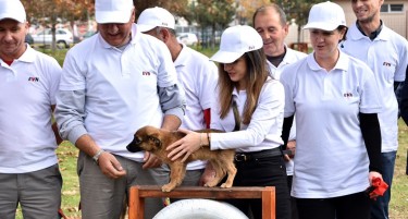 ЕВН волонтeрите го изградија првиот парк за миленичиња во Струмица
