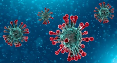 Конечно, добри вести за тестирање од коронавирусот