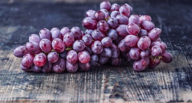 Зошто Вардарскиот регион е лидер по производство на грозје?