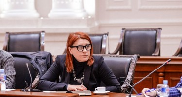 Владата ја разреши Јасна Мандиќ, соработничката на Боки 13