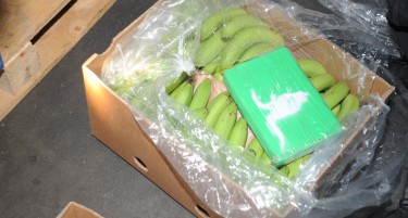 Обвинителството бара притвор за увозникот на овошјето во чии банани е откриен кокаин